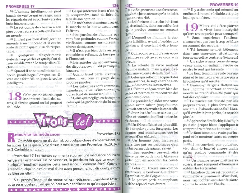 La Bible de l'Aventure 2e édition - Bible d'étude pour les jeunes – Image 2