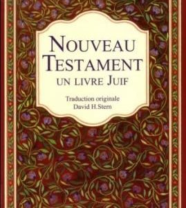 Nouveau Testament - Un livre juif (couverture souple)