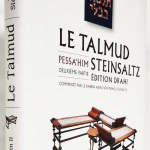Pessahim 2 - Le Talmud Steinsaltz T8 (couleur)