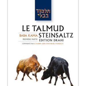 Baba Kama I - Le Talmud Steinsaltz T23 (couleur)