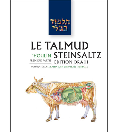 -houlin-1-le-talmud-steinsaltz-t37-couleur