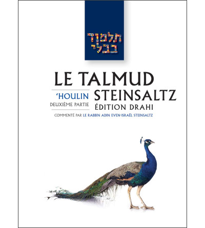 -houlin-2-le-talmud-steinsaltz-t38-couleur