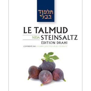 Nida - Le Talmud Steinsaltz T42 (couleur)